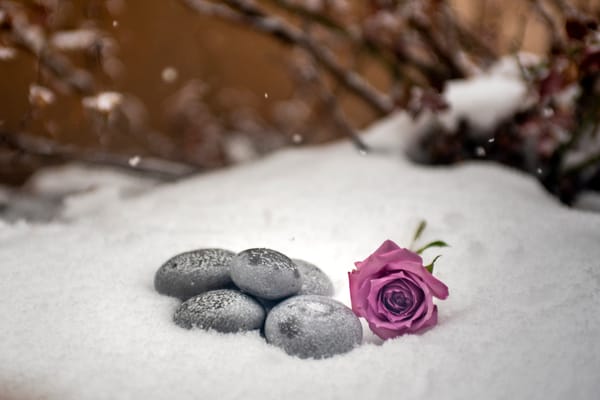 Memorial Options That Travel: Comparing Portability